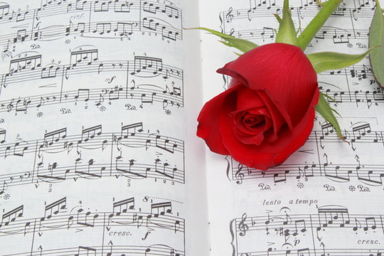 Partitura de piano con una rosa