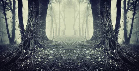Tuinposter symmetrical photo of a secret passage in a mysterious forest fog © andreiuc88
