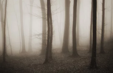 Tuinposter mysterious forest with fog in sepia and dark trees © andreiuc88