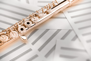 Obraz premium Flute/Upper Middle Joint/14 K Rose Gold