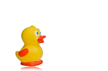 Plastic yellow duck toy isolated on white background
