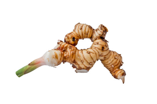 galangal root isolated against a white background