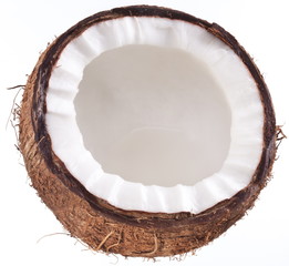 High-quality photos of coconuts on a white background.