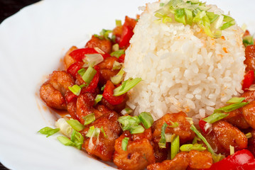 Pork meat and japanese rice