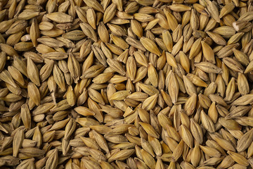 Background from grains