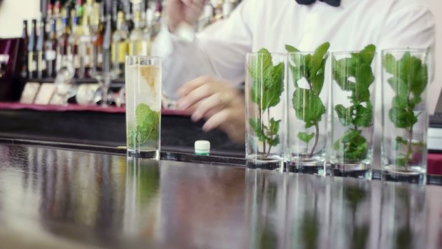 barman preparing mojito in pub