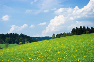 Beautiful spring in the hills