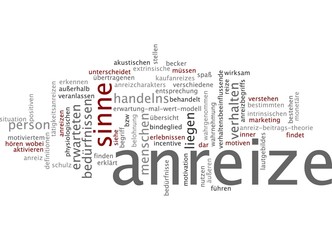 Anreize / Incentives