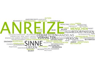 Anreize / Incentives