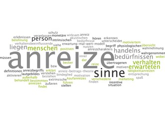 Anreize / Incentives