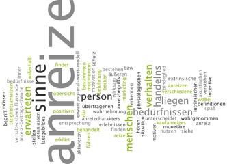 Anreize / Incentives