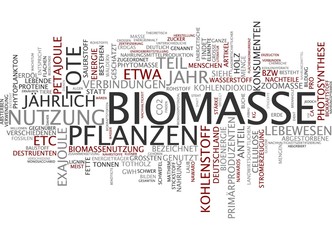 Biomasse