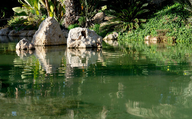 Naklejka na ściany i meble Lake reflex. Palm garden in Alicante, Spain.