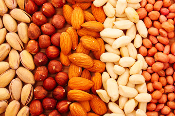 Different types of nuts