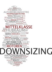 Downsizing