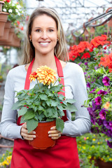 Fototapeta premium Gardening.