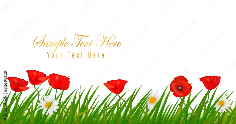 Poster background with beautiful red poppies and plant. vectoк