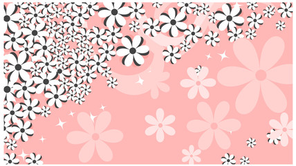 background, flower, stars beautiful white spring marguerite agai