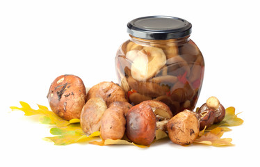 Fresh and pickled mushrooms on white