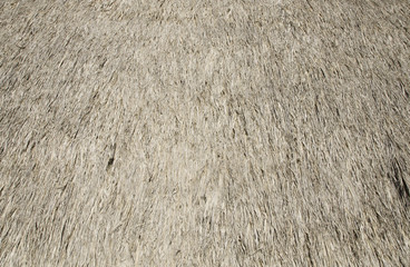 Texture Plan