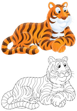 Tiger