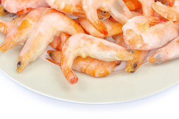 shrimp