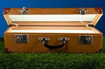 suitcase on grass
