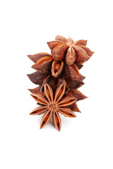 anise star