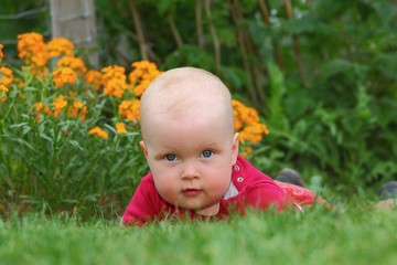 Kleines Mädchen krabbelt im Garten