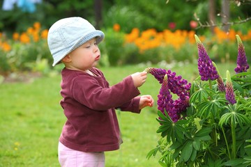 Kleines Mädchen pflückt Blumen im Garten