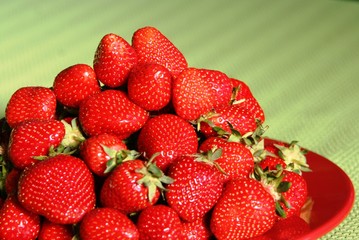 Erdbeeren