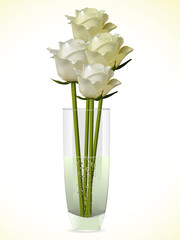 white and ivory roses in a glass vase on a white background