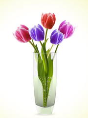 Tulips in a glass vase on a white bacgkround