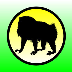 baboon vector