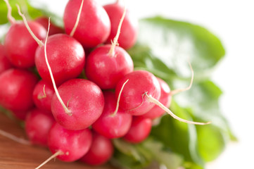Fresh radishes
