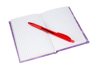 notebook with a red pen