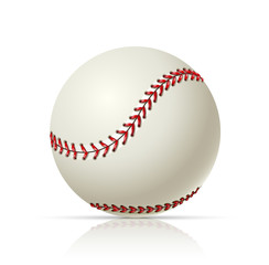 baseball ball vector