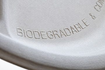 Biodegradable paper plate detail