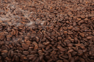 Coffe beans on white background