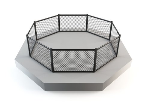 MMA Octagon ring