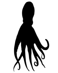Oktopus