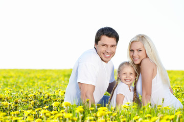 Fototapeta premium Summer