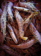 shrimps