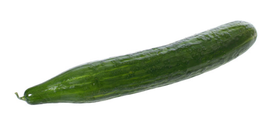 Salatgurke ganz freigestellt