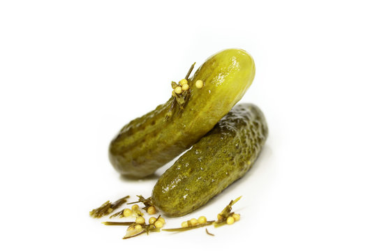 Gew&uuml;rzgurken