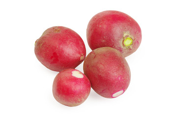 Fresh radishes