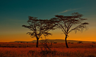 Plakat Afrykański zachód słońca w Serengeti National Park, Tanzania