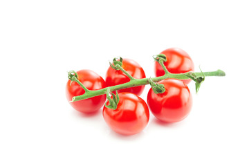 bunch of tomato isolated on white