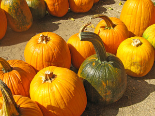 Pumpkins