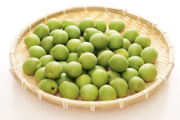 青梅（古城種）